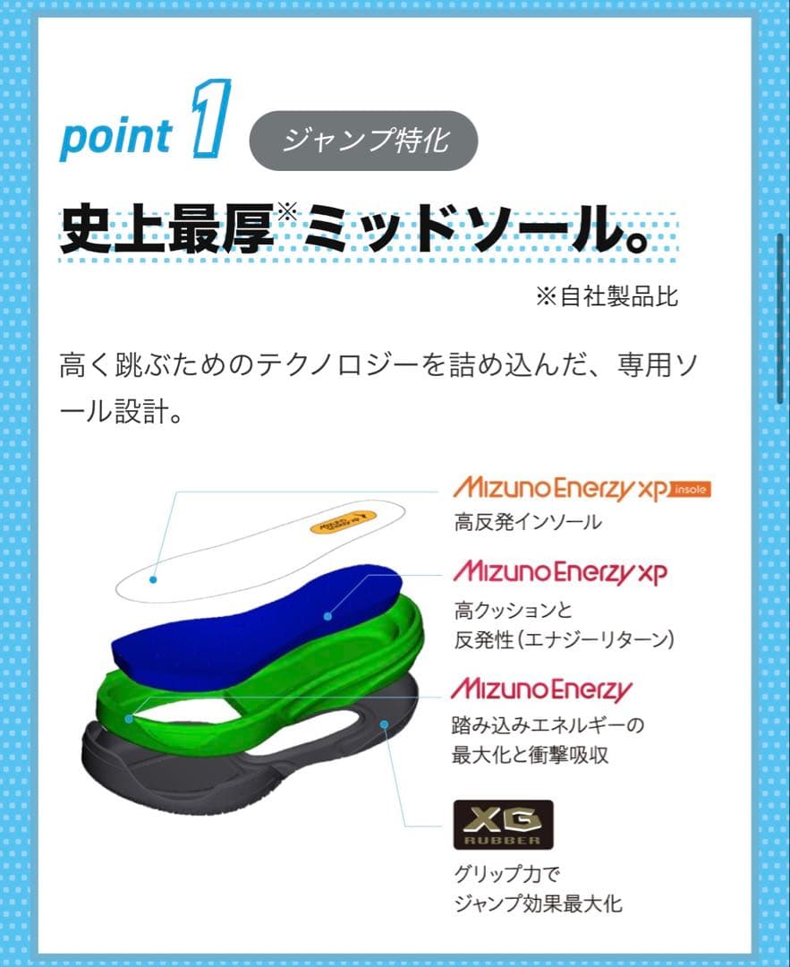 【未使用】値引不可 即購入大歓迎 ミズノネオジャンプ シューズサイズ28.0cm