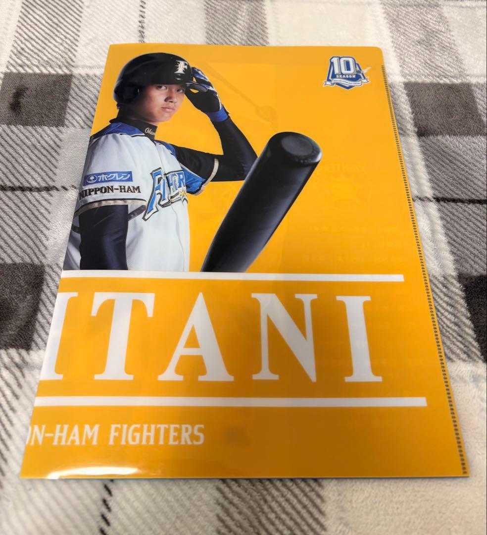 大谷翔平 クリアファイル プロ初登板試合　観戦証明書付き