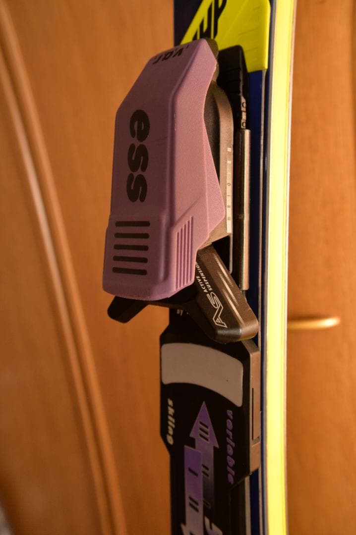 NISIZAWAスキーデモンストレーターゴールド