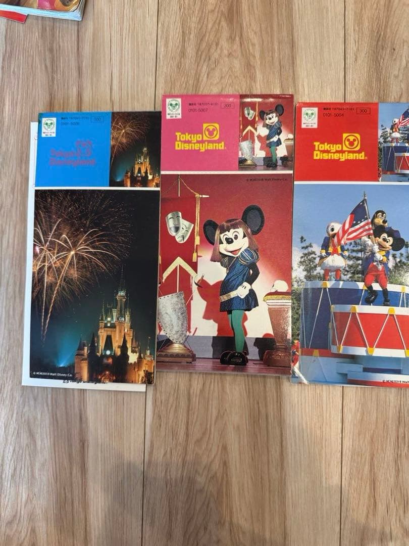 レア　昭和　ディズニーランド大図鑑　 ポストカード