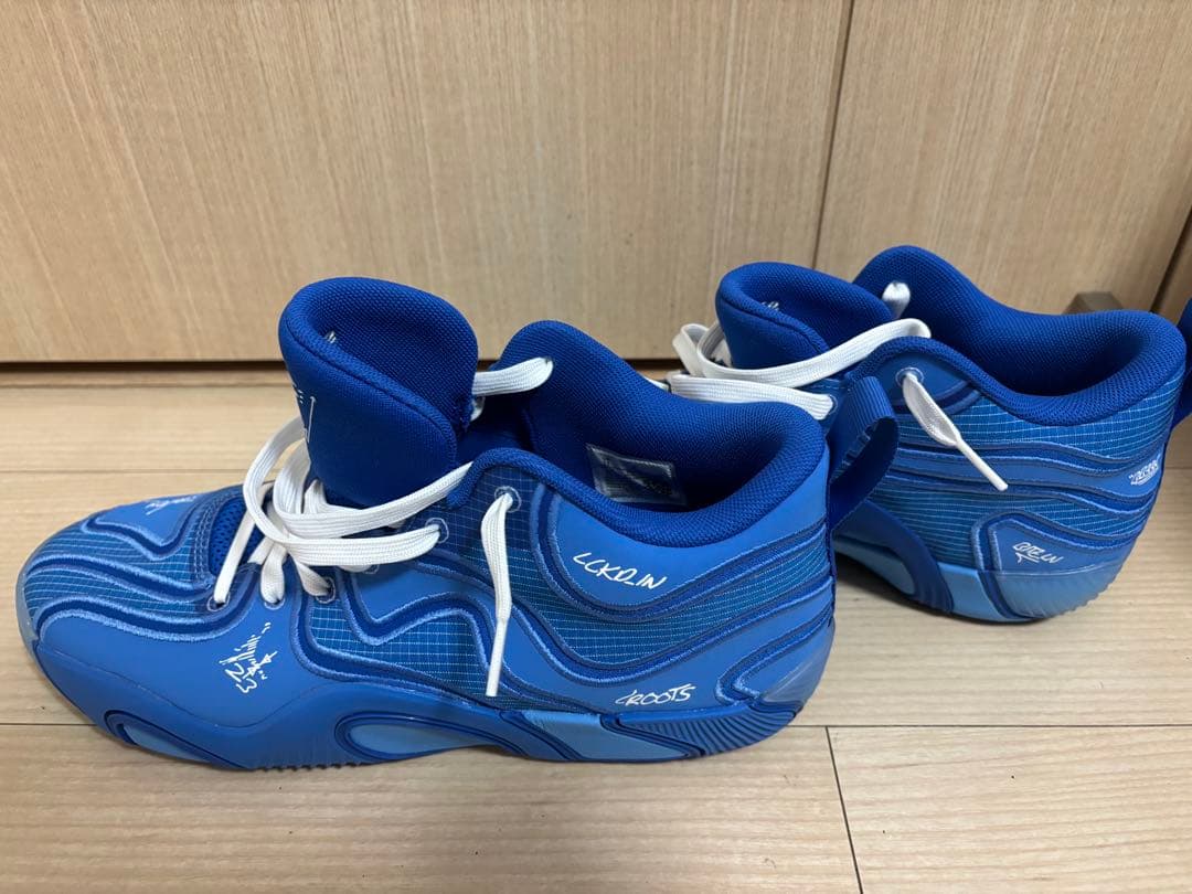 シューズ(男性用) NIKE TATUM3 29cm