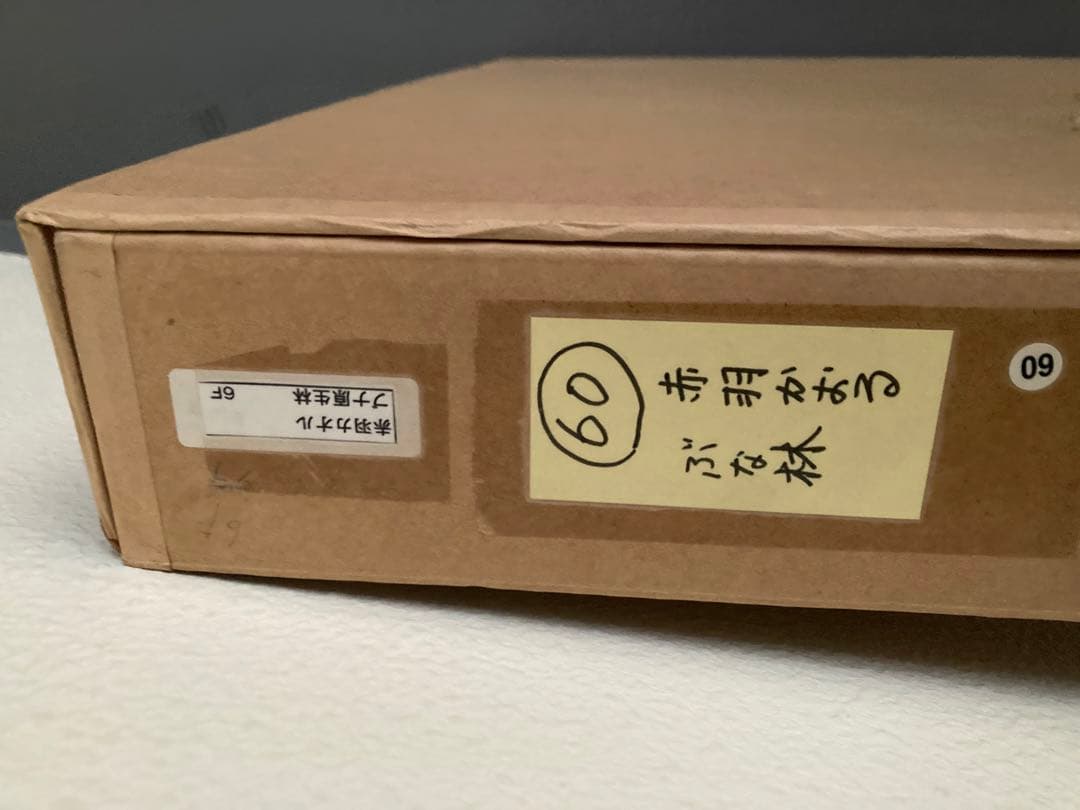 赤羽かおる　ぶな林
