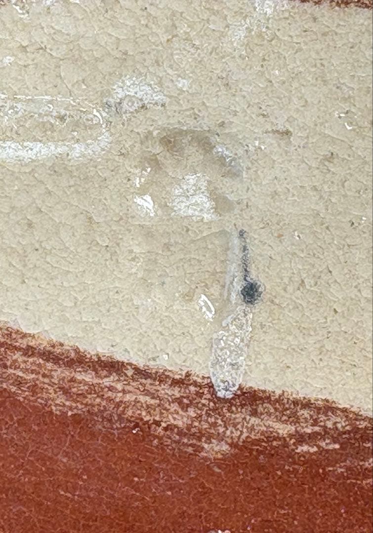 ★訳あり★茶道具　中古品　香野壮明造　鯛香合（共箱）