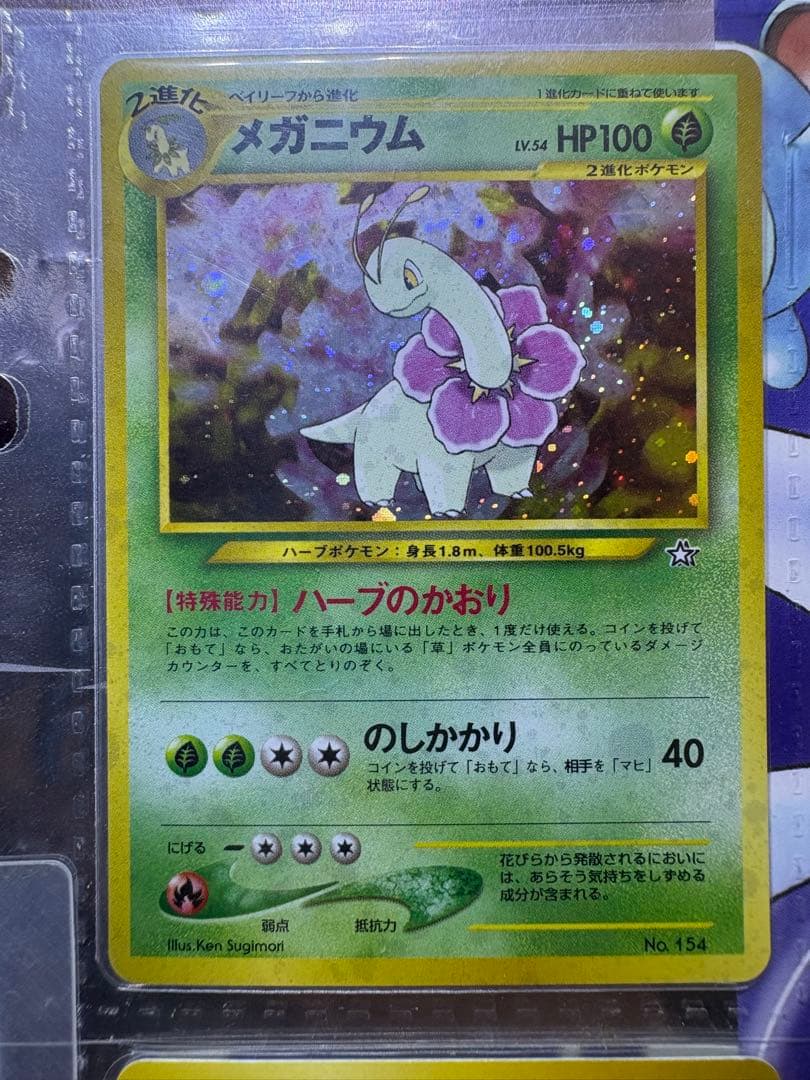 ポケモンカード ネオ プレミアムファイル 金銀 新世界へ…