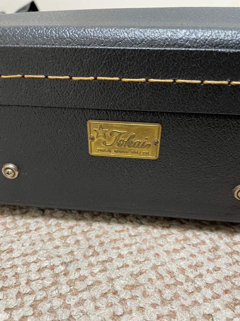 Aria Pro II LS-800VD CH 1980年代　ケース付き