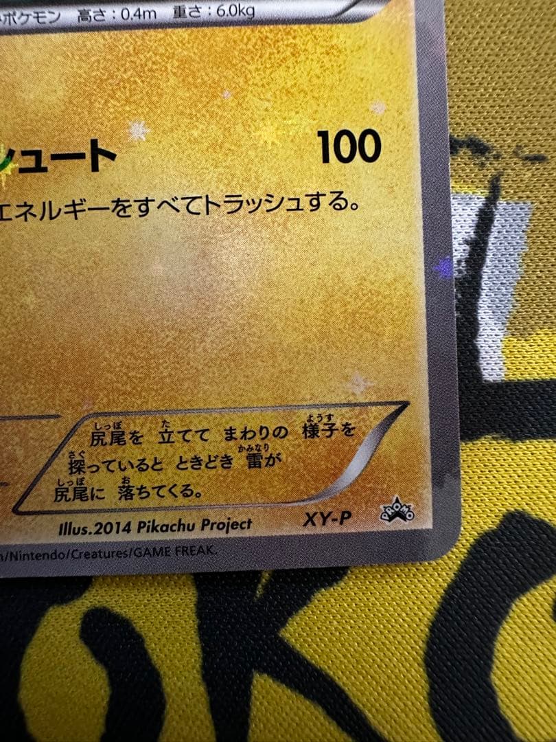XY-P ピッチのピカチュウ_Jリーグ「ファミリー Joinデイズ」 プロモ