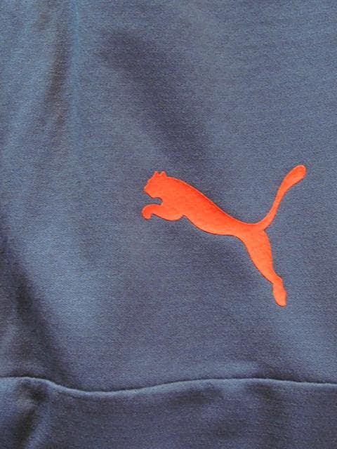 Puma Manchester City ピステパンツ ダークグレー