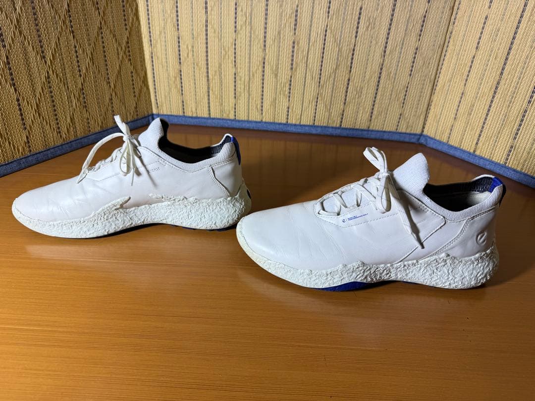 シューズ(男性用) ECCO Golf Biom H5 Hybrid Men