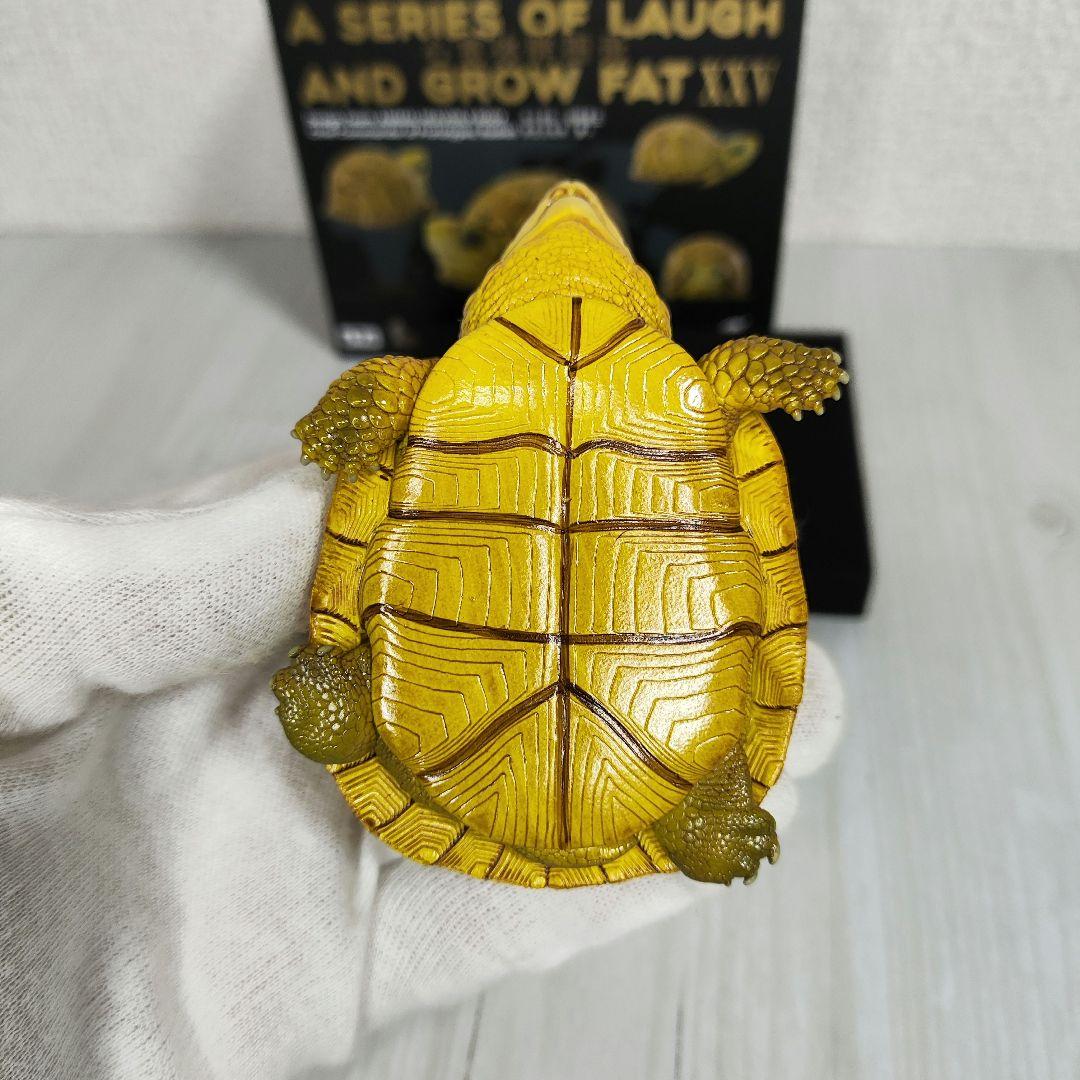 【動物の惑星】レア★ユカタンハコガメ★シークレット! フィギュア