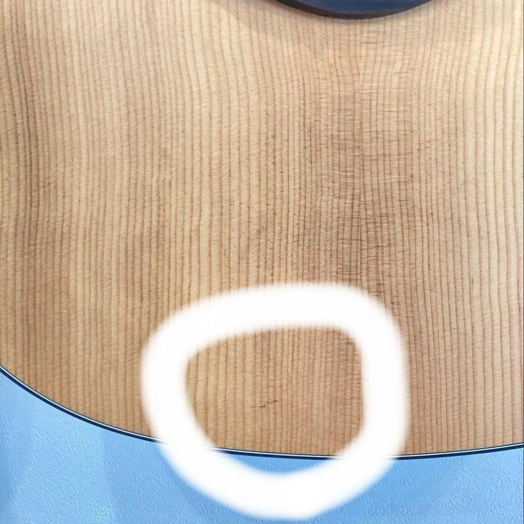 Taylor テイラー 114ce ギグケース付 トップスプルース単板　エレアコ