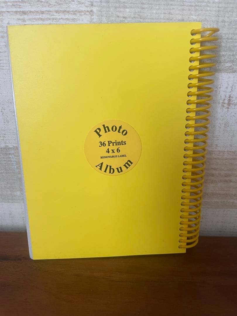 【廃盤】ディズニー リトル・マーメイド フォトアルバム 2冊セット スパイラル式