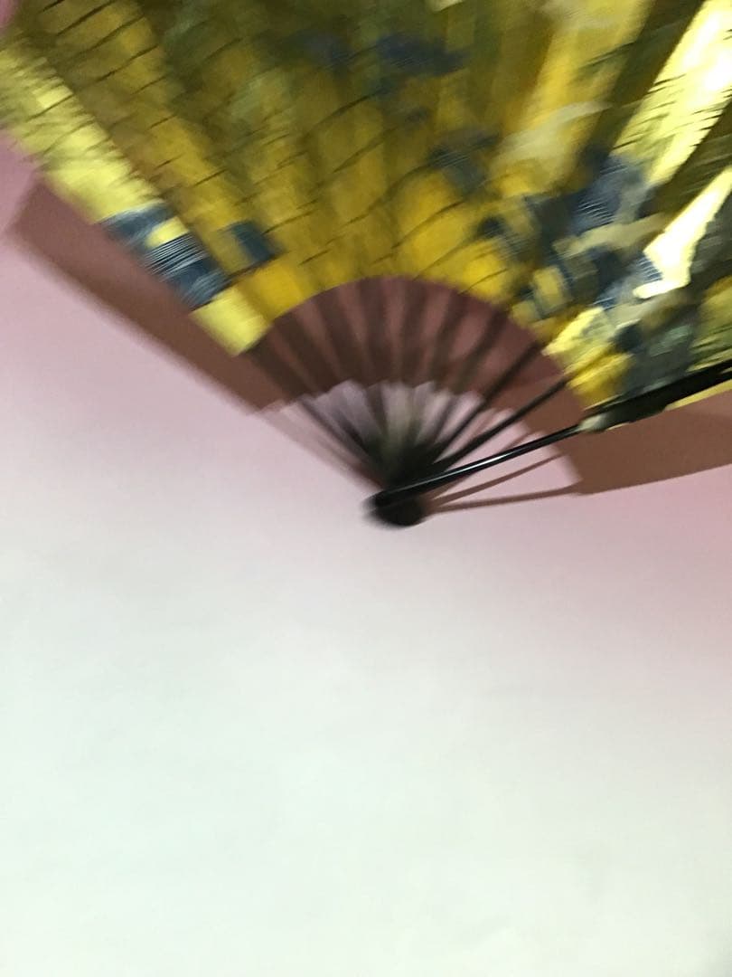61699 舞扇 京都十松屋福井 扇 観世流 謡曲 能 美品