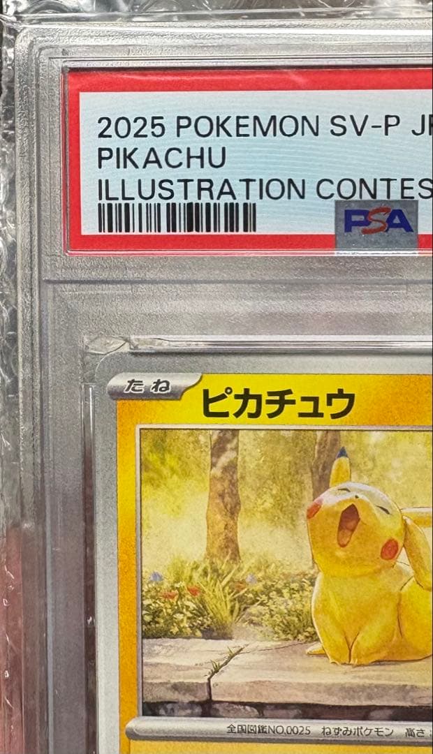 PSA10】ピカチュウ イラストコンテスト2024 SV-P プロモ