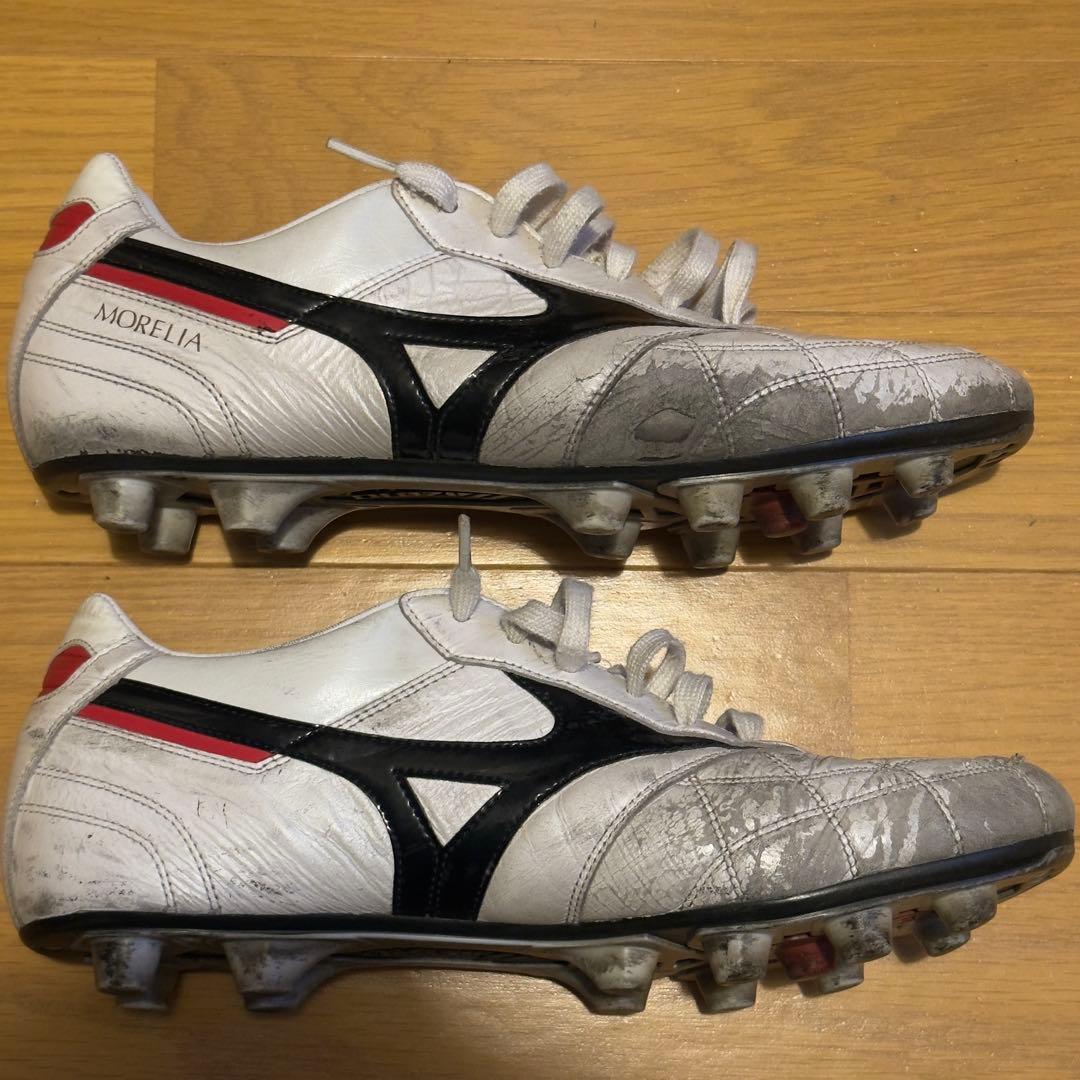 Morelia 2 Japan クロスステッチ