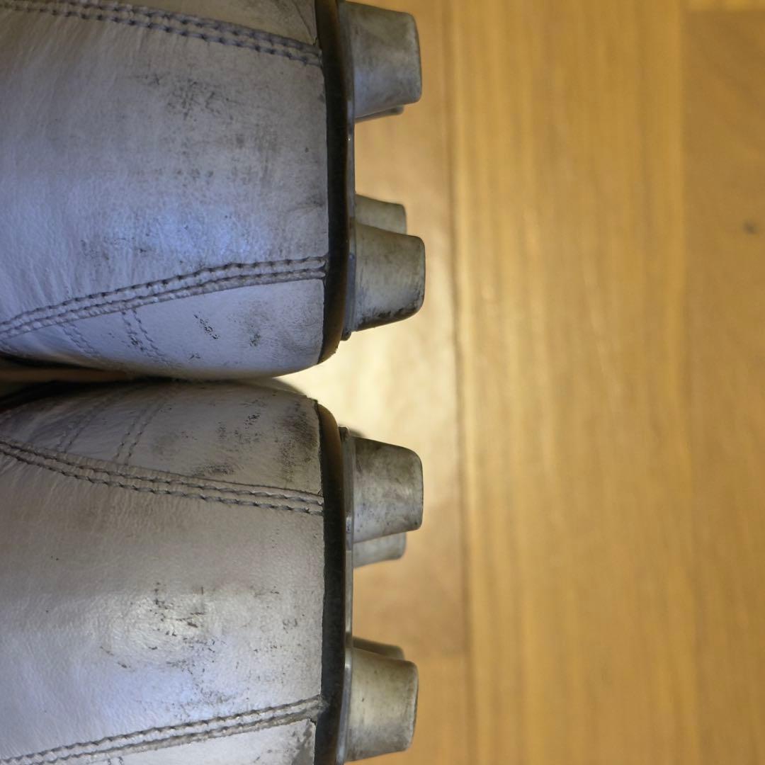 Morelia 2 Japan クロスステッチ