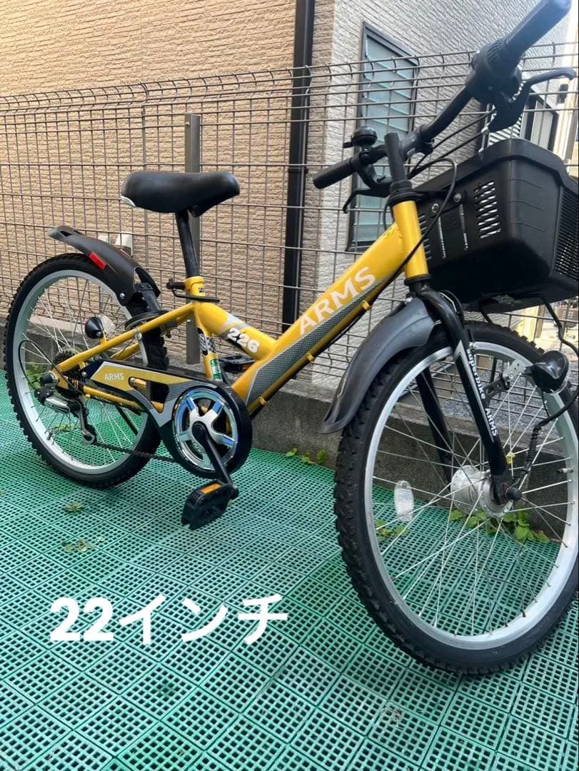ARMS キッズ自転車 ゴールド 22インチ