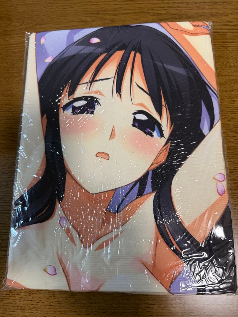 【未開封品】　抱き枕カバー　16点セット　ソフマップ特典