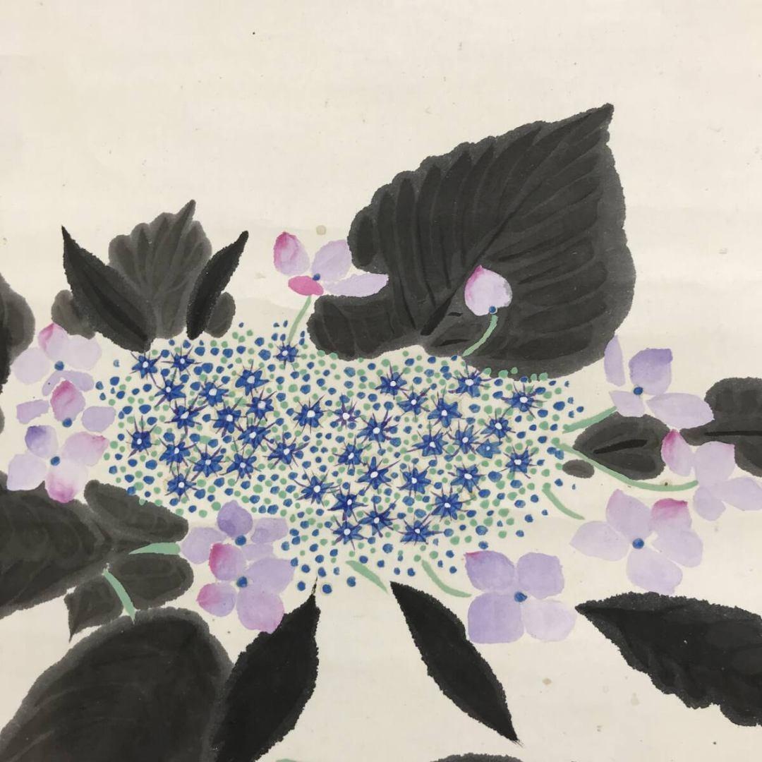 真作/会津勝巳/八仙花/紫陽花図/横物/花図/初夏/掛軸☆宝船☆AK-757