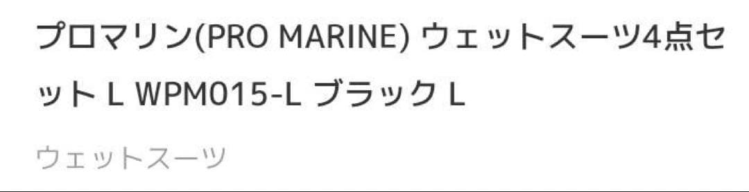 【プロマリン】ウェットスーツ4点セット Lサイズ