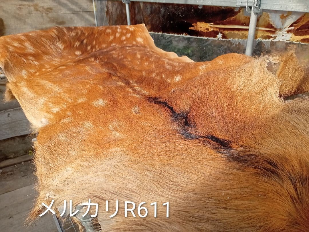 天然日本鹿　毛布・ブランケット