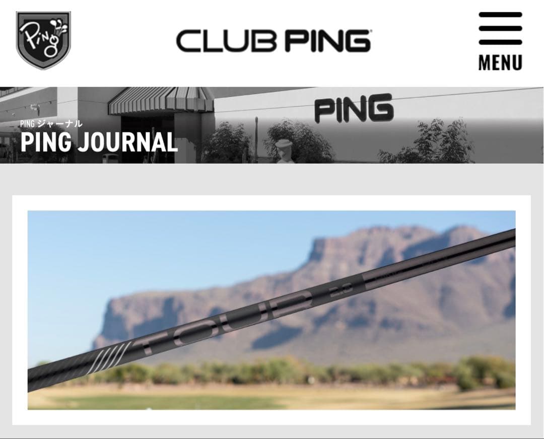 PINGTOUR 2.0 BLACK 65s ピンツアーブラック　ピンスリーブ