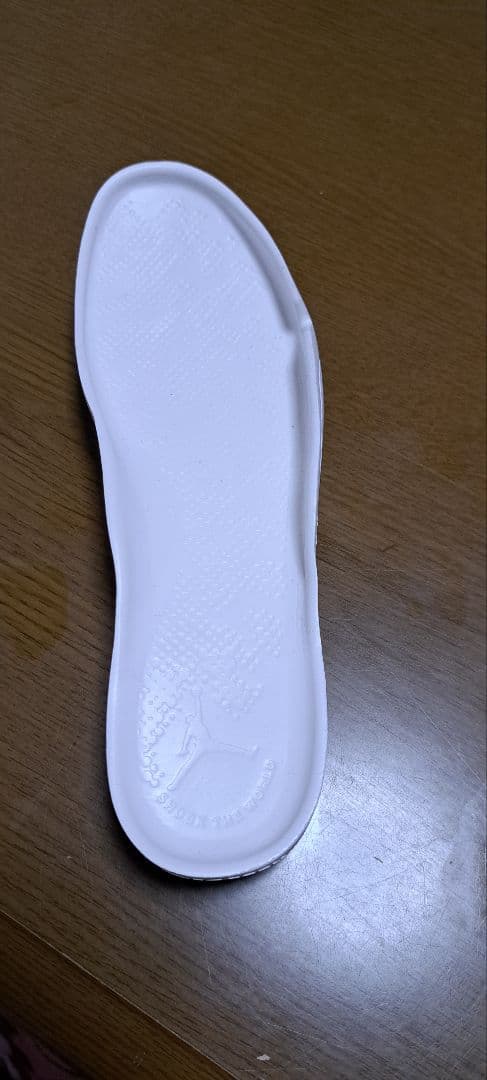 NIKE★新品ジョーダン ザイオン24.0