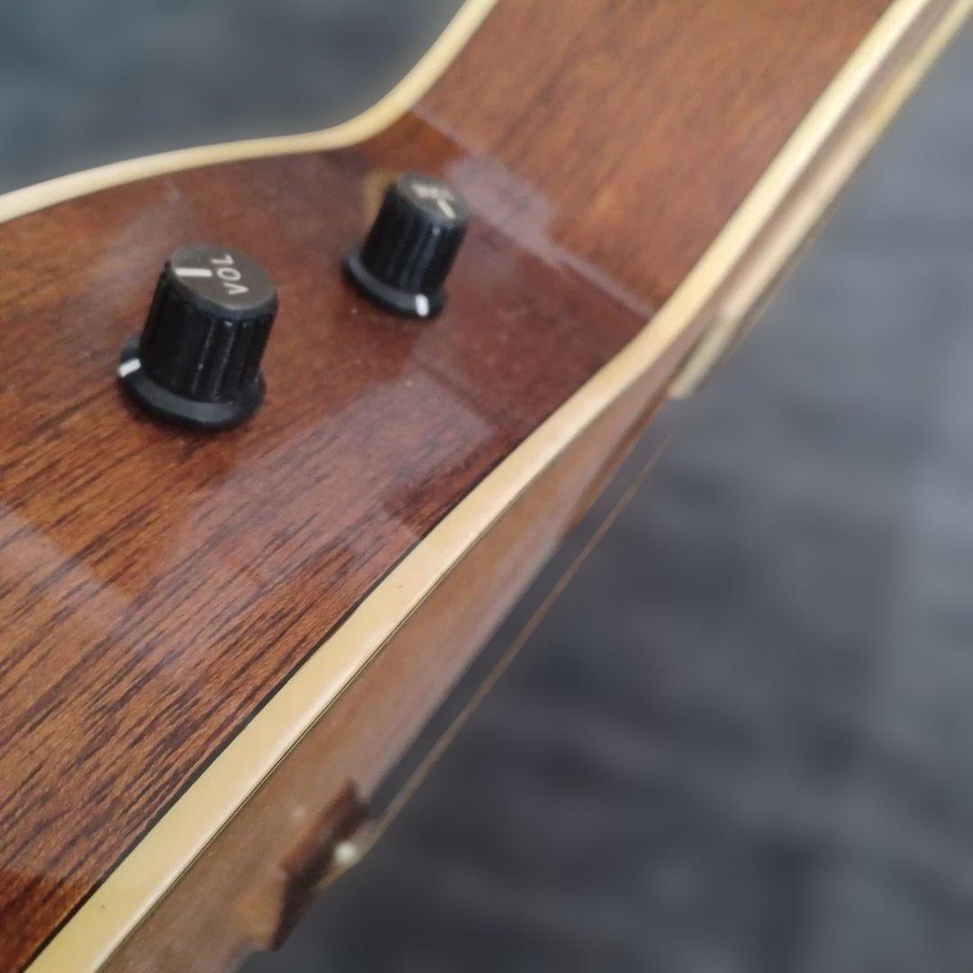 Master Craft YBP-50 アコースティックギター