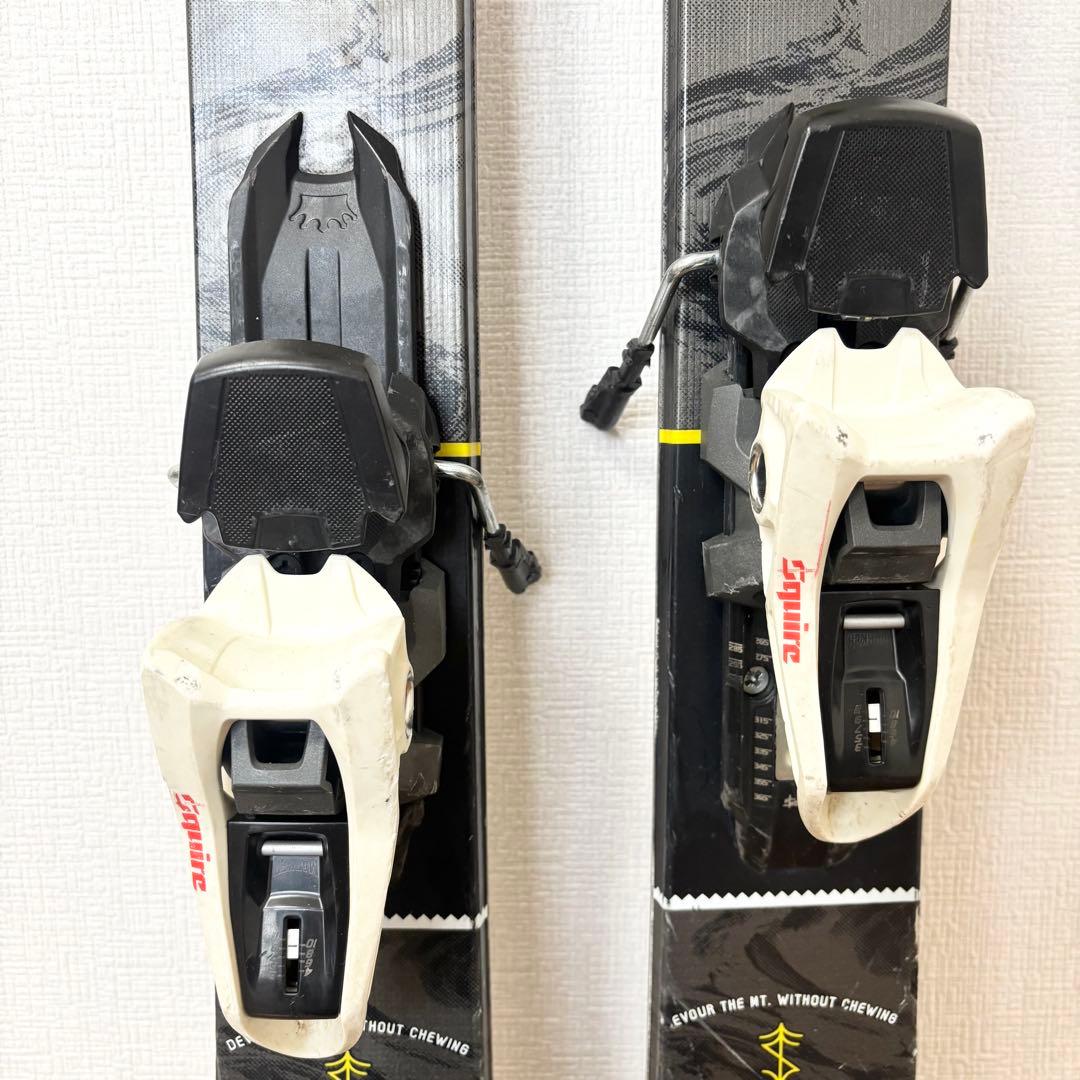 LINE（ライン）スキー TIGER SNAKE タイガースネーク 178cm