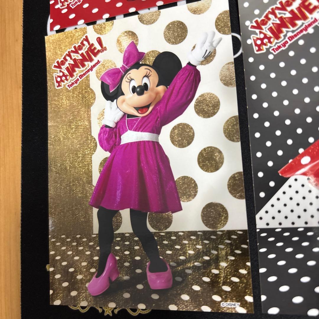 ディズニー　ベリミニ　スペシャルフォト　ミニー