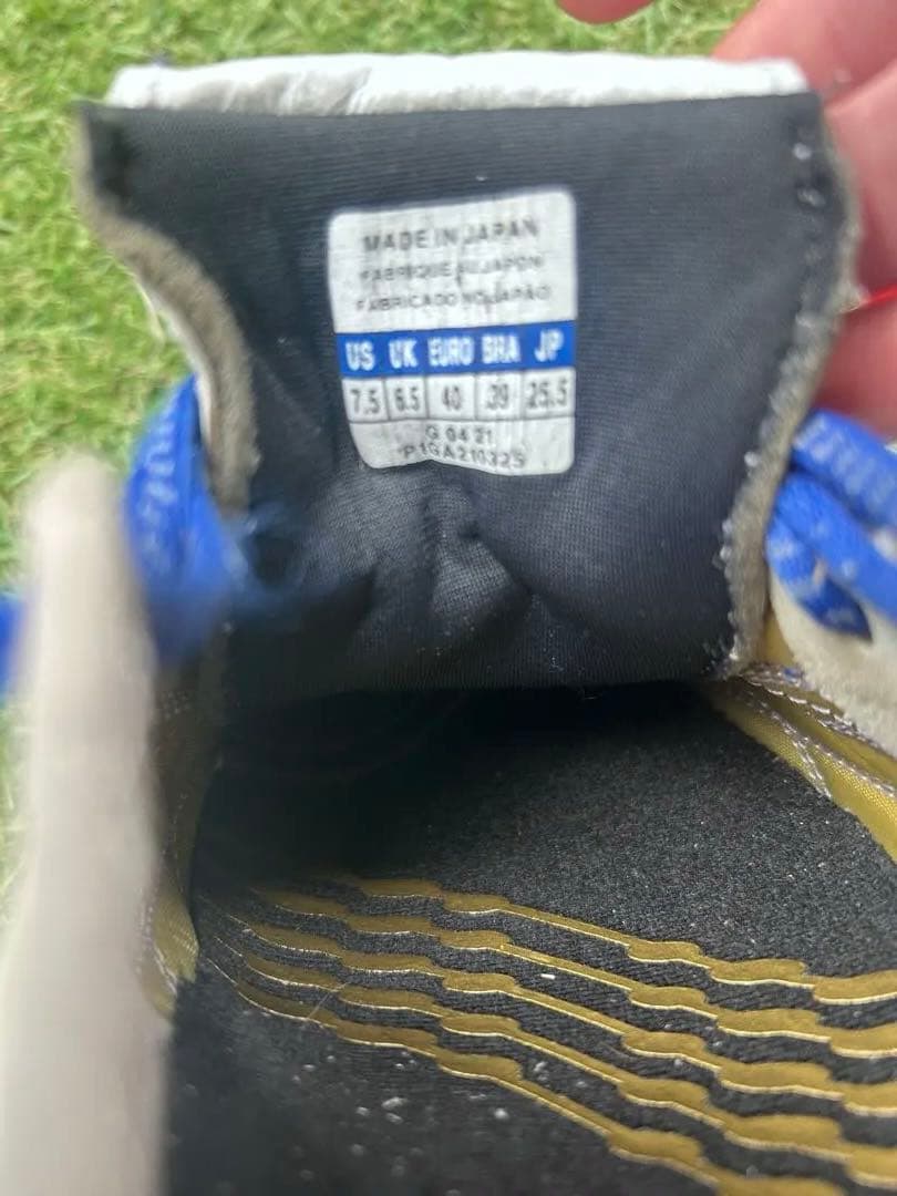 Mizunoモレリアウェーブ　25.5cm