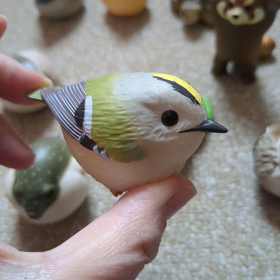 てのりフレンズ リクガメ レッサーパンダ すずめ バラ売りあり