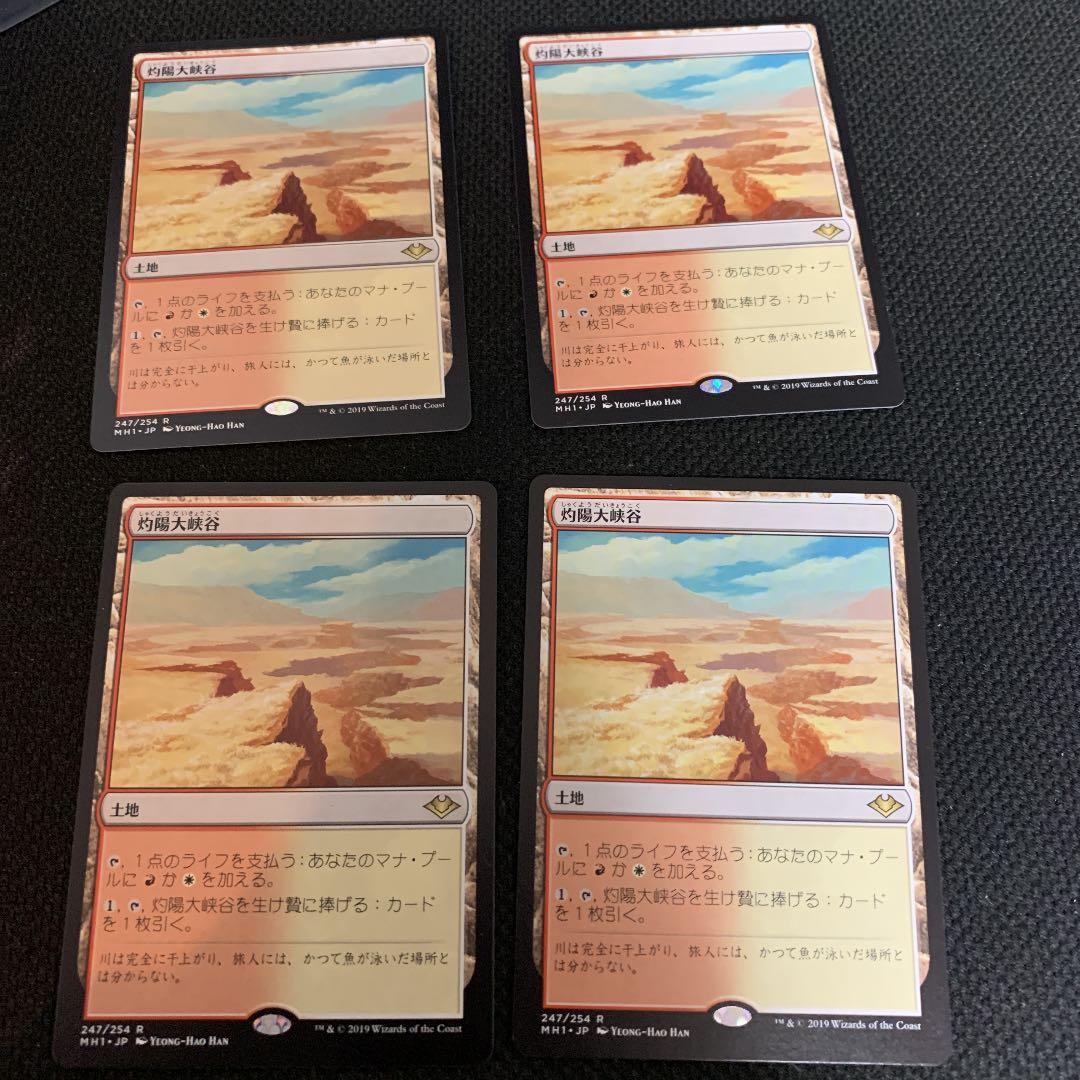 MTG 灼陽大峡谷　4枚セット　日本語