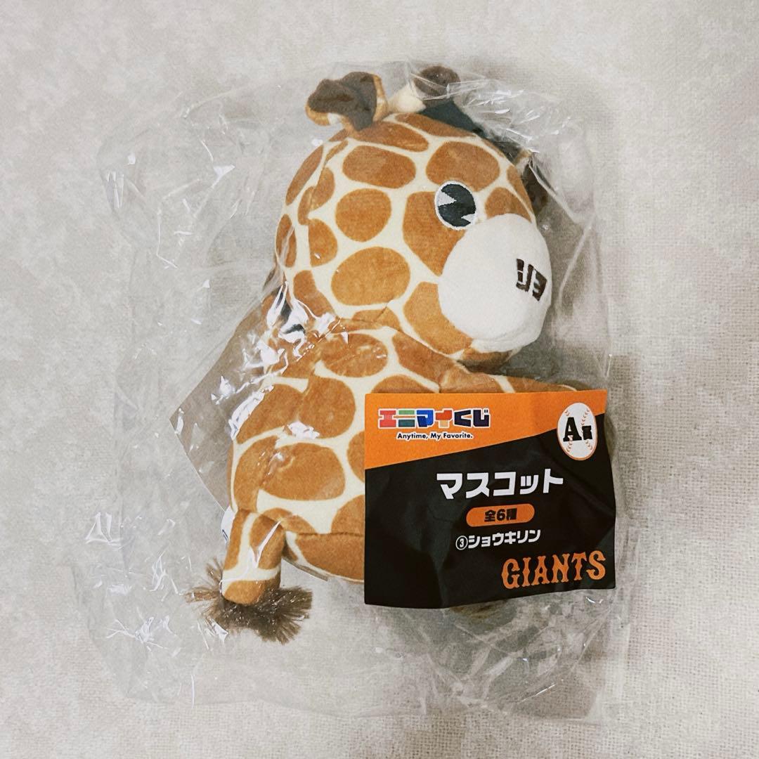 エニマイくじ ジャイアンツ GIANTS ショウキリン 戸郷翔征
