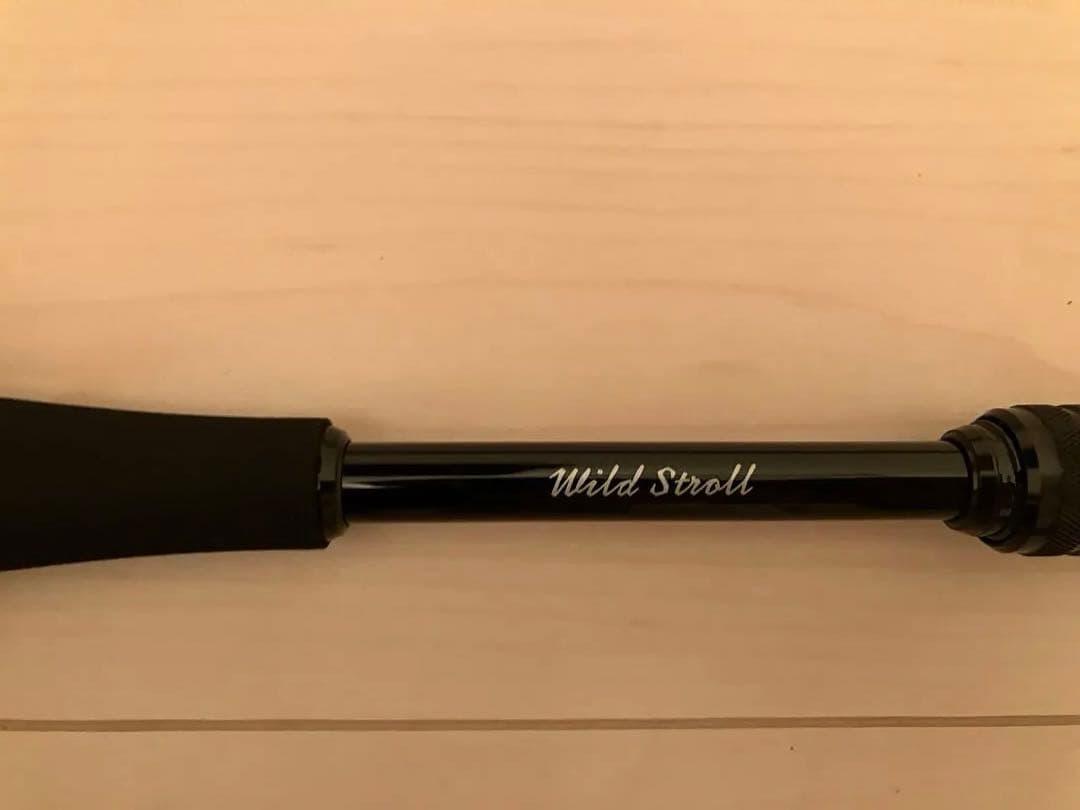 ジャストエースWild Stroll WS68LSPジグヘッドスイミング