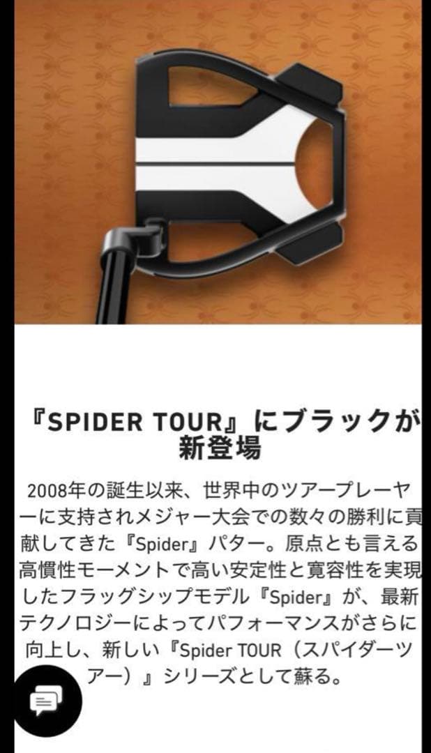 新品 テーラーメイド スパイダー ツアーX パター マキロイモデル 34インチ