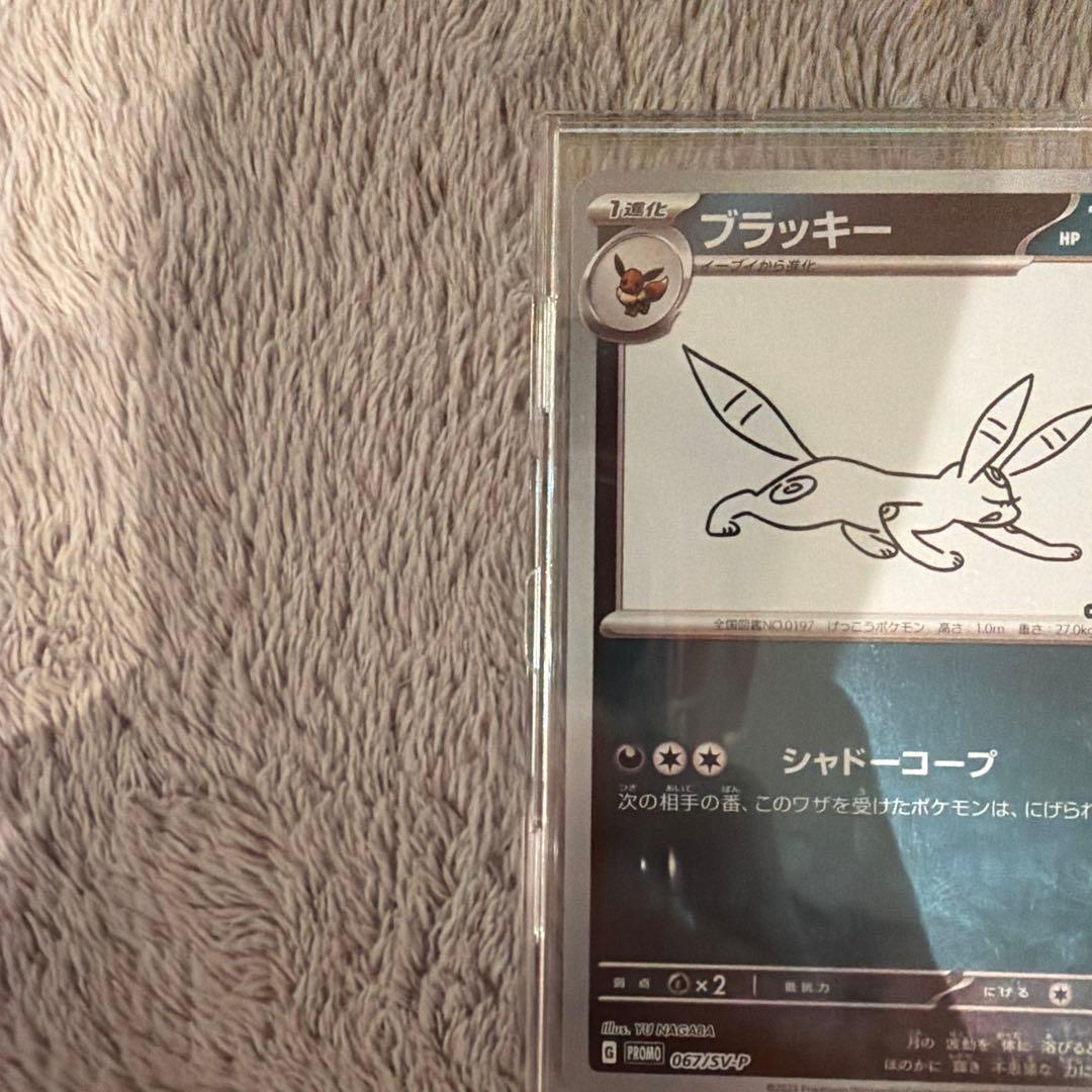 ブラッキー 100 HP ポケモンカード
