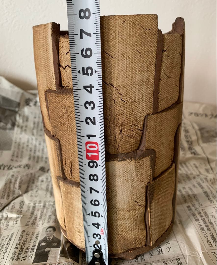 希少BIG 新品 信楽焼 鉢COMWORK STUDIO コムワーク 陶器 塊根