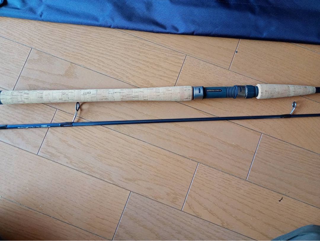 ロッド SALTY PLUGGER BORON '04 LIMITED EDITION