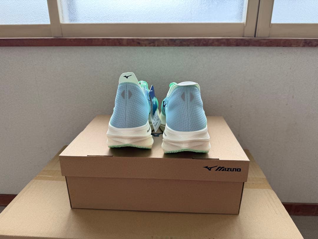 MIZUNO／WAVE REBELLION PRO 3 （30.0cm）