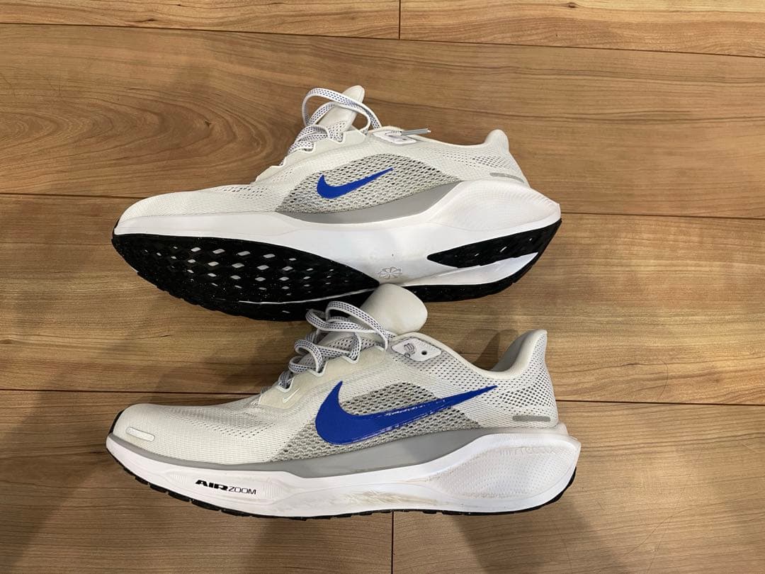 NIKE ペガサス41 27.5cm