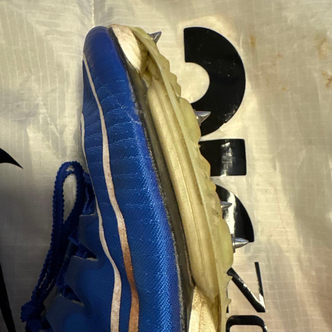 NIKE MAXFly ブルーカラー 27.5cm