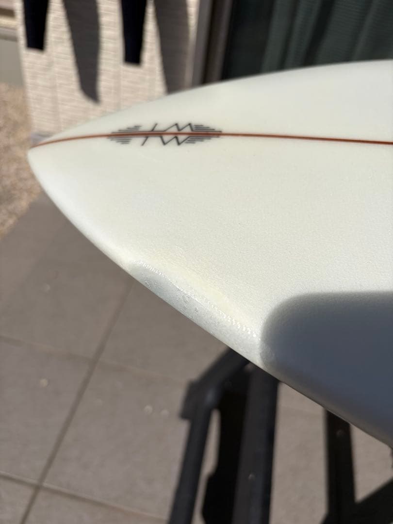 Tyler Warren DREAM FISH 5’6”タイラーウォーレン