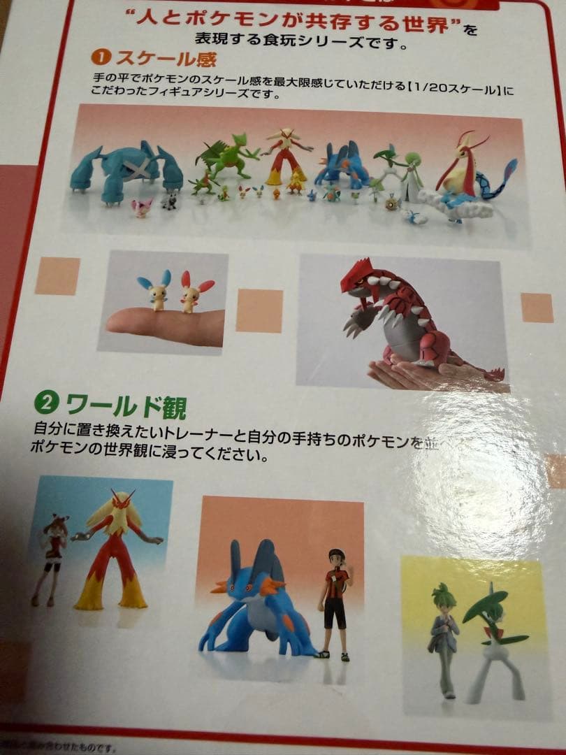 ポケモンスケールワールド グラードン フィギュア