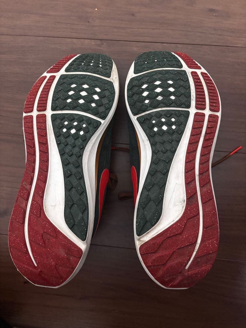 スパイク・シューズ Nike Air Zoom Pegasus 39 Hola Lou 27.5cm