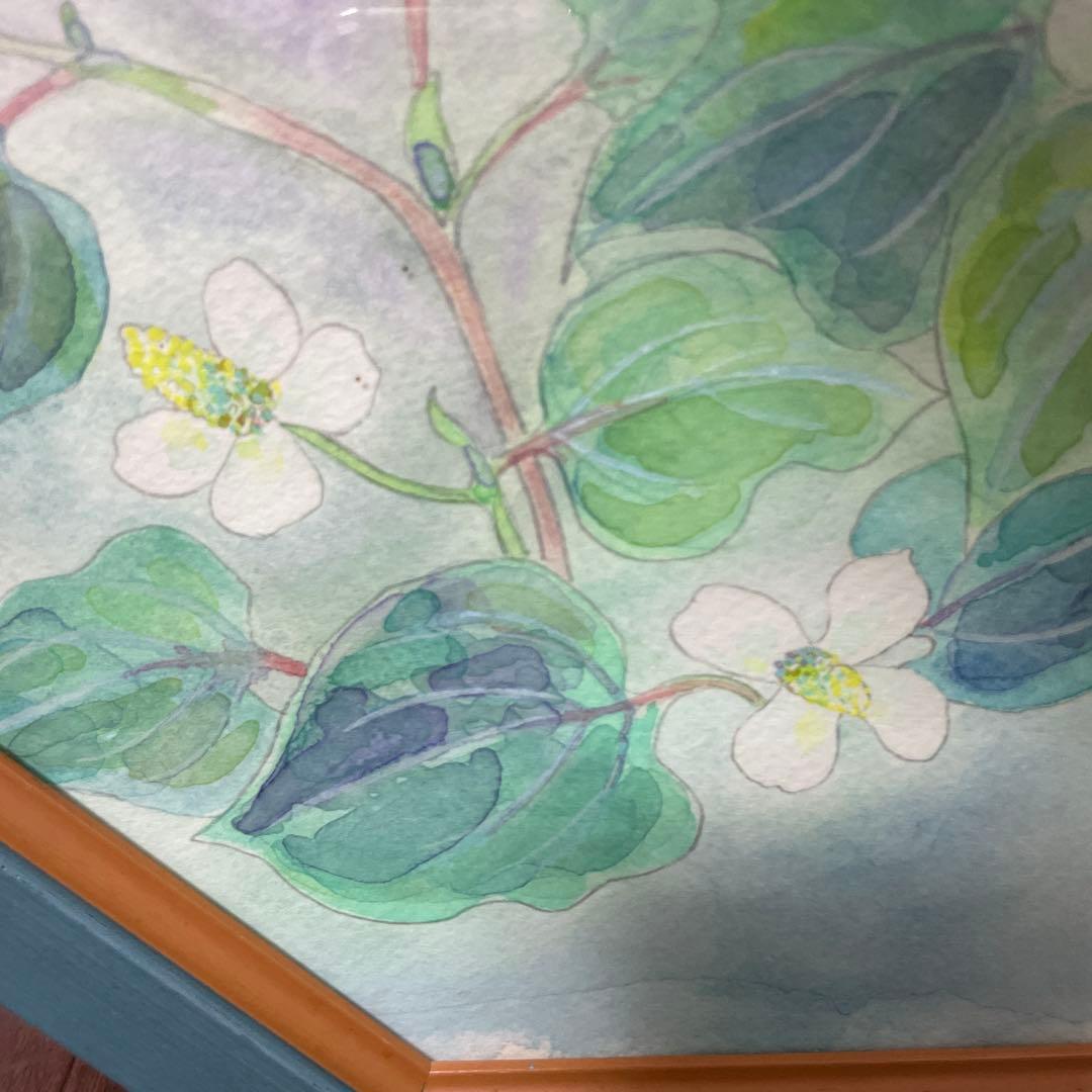 額縁　八角形　植物水彩画　日本画