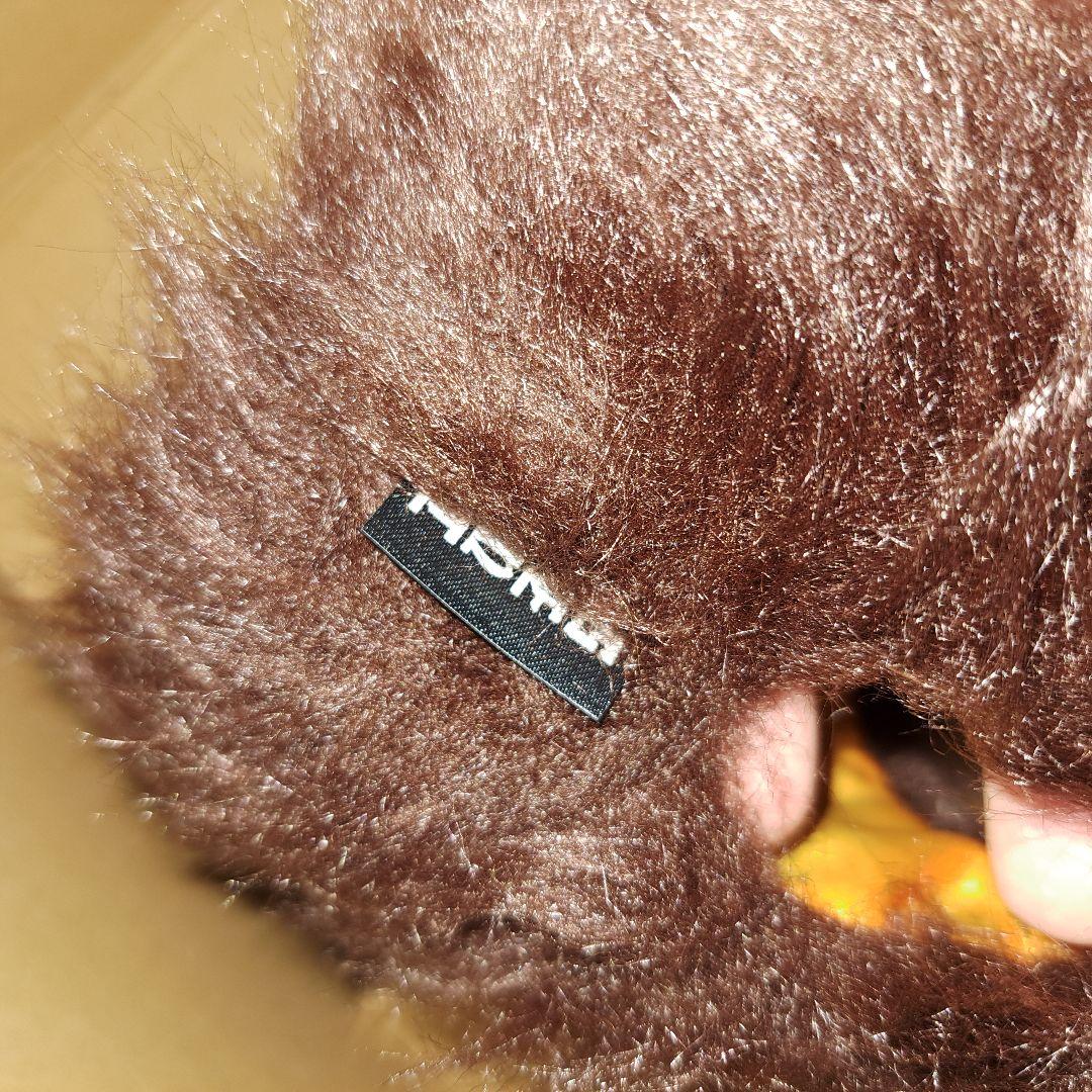 当選品genttoysとappletrapの ブゴラ BUGORA