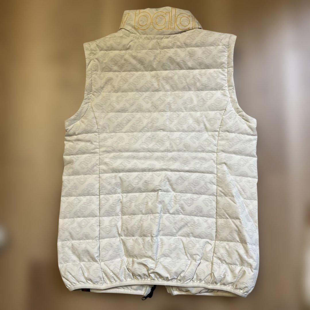 2年前に3万円ぐらいに買った物です。