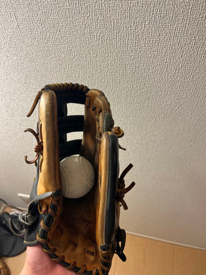 Rawlings 野球グローブ 黒/茶