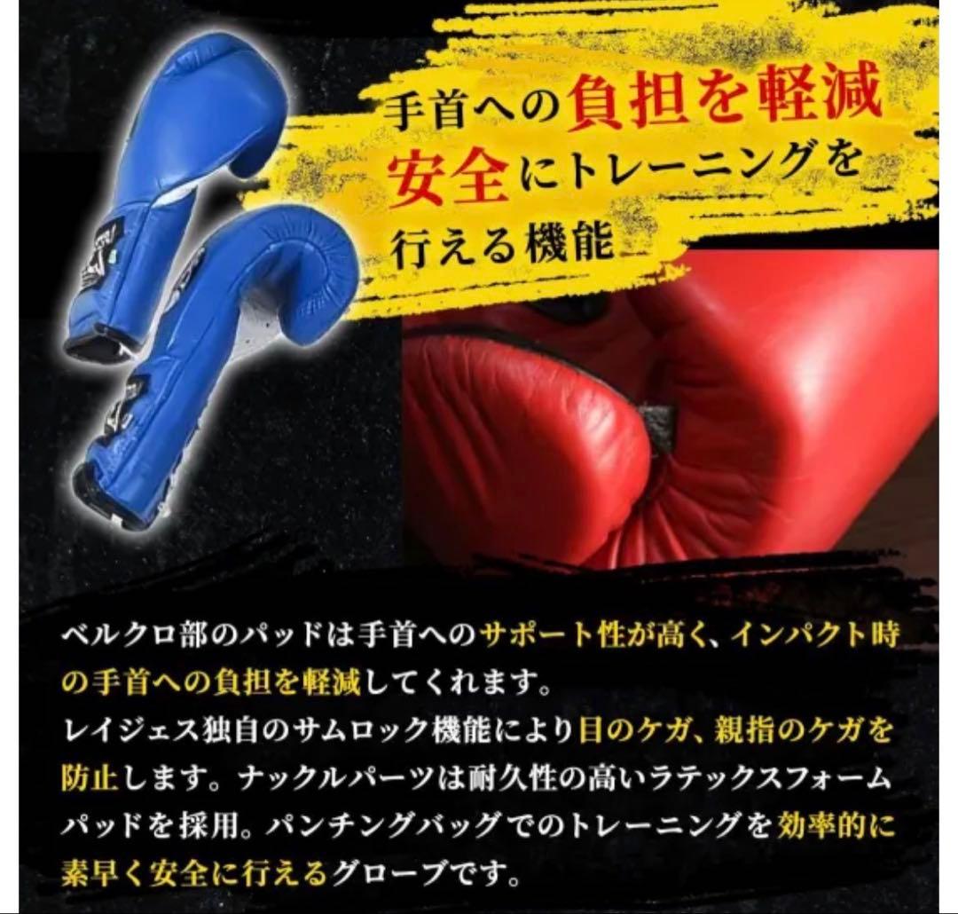 レイジェス(reyes) スパーリング用グローブ 14オンス