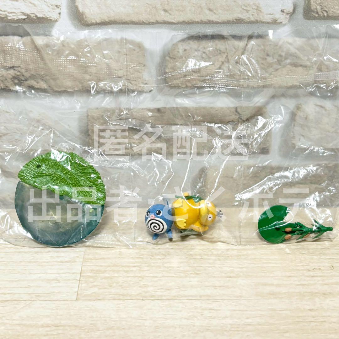【ポケモンテラリウムコレクション2】3種まとめ売り　匿名配送